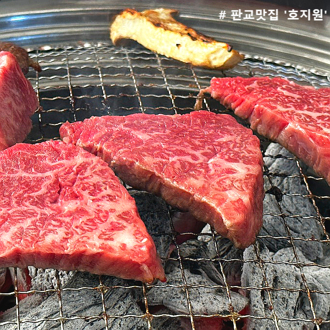 호지원 이미지