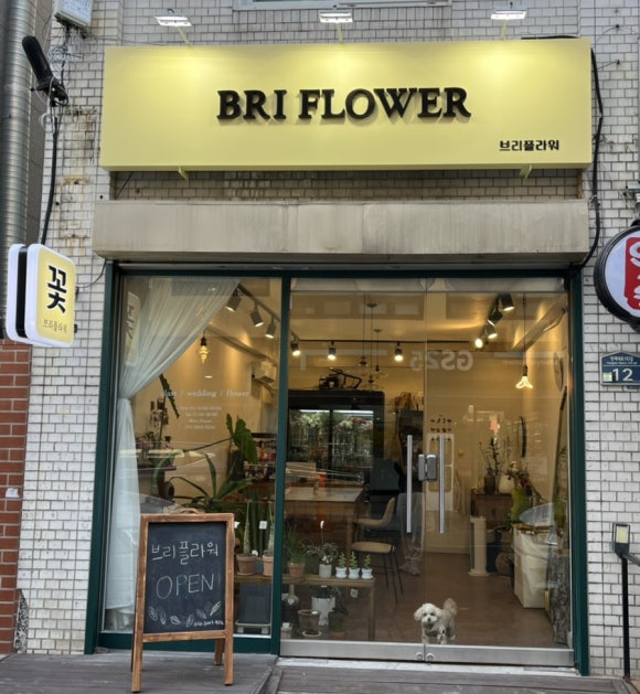 브리플라워 이미지