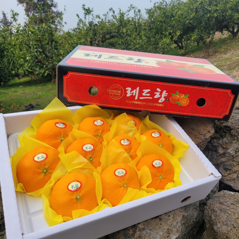 금두꺼비 이미지