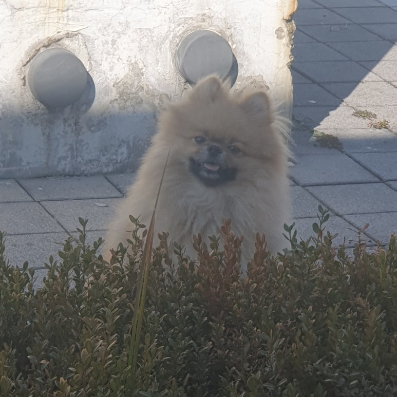 찬*이* 이미지