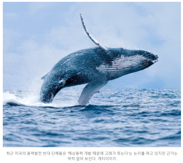 가야해상풍력 이미지