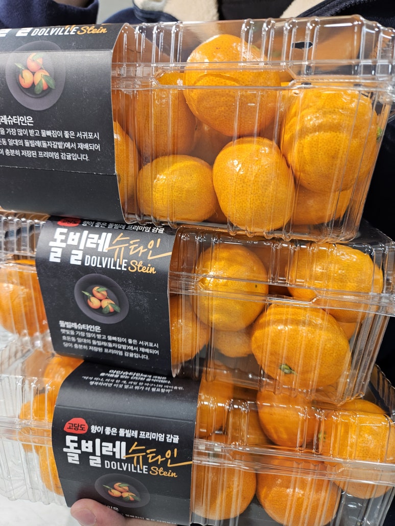돌빌레 이미지