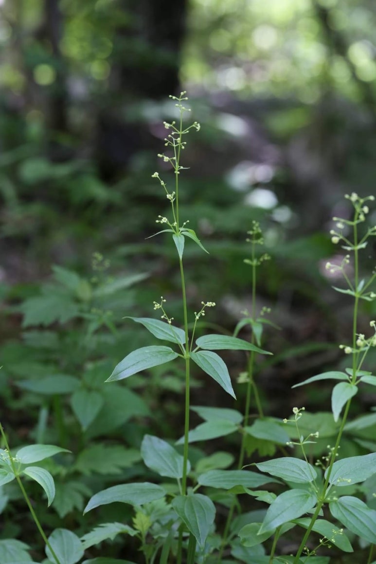 아침에 보는 오늘의 뉴스(2024년1월12일,금요일) : 네이버 블로그