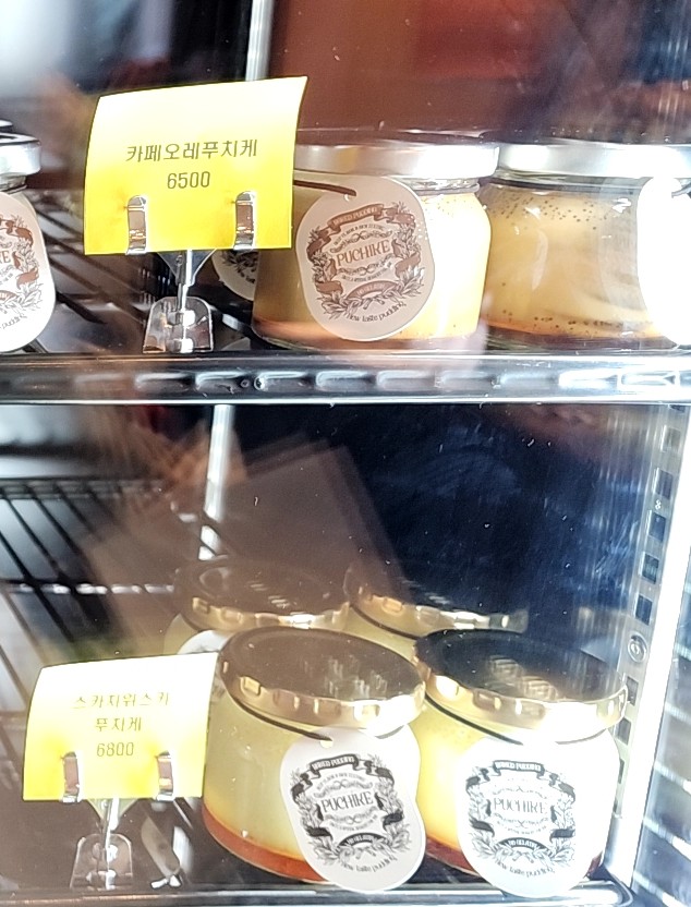 푸치케 이미지