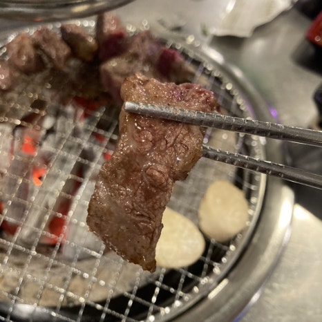 정직한하누1 이미지