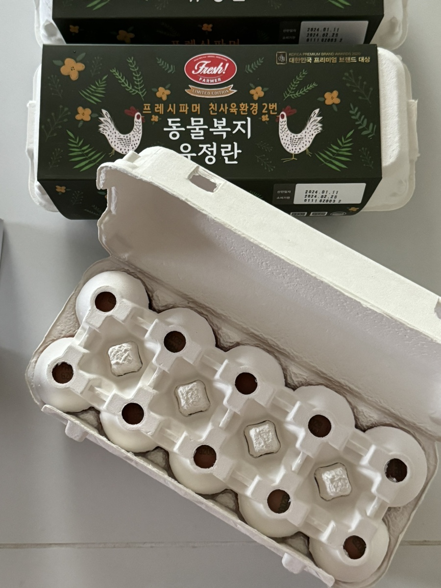 템파머 이미지