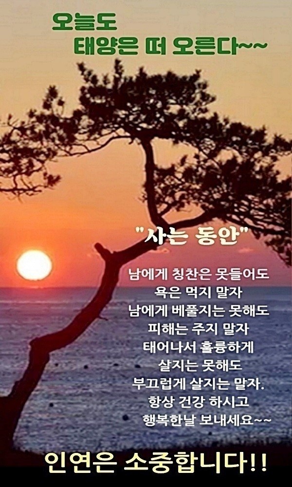 산호정 이미지