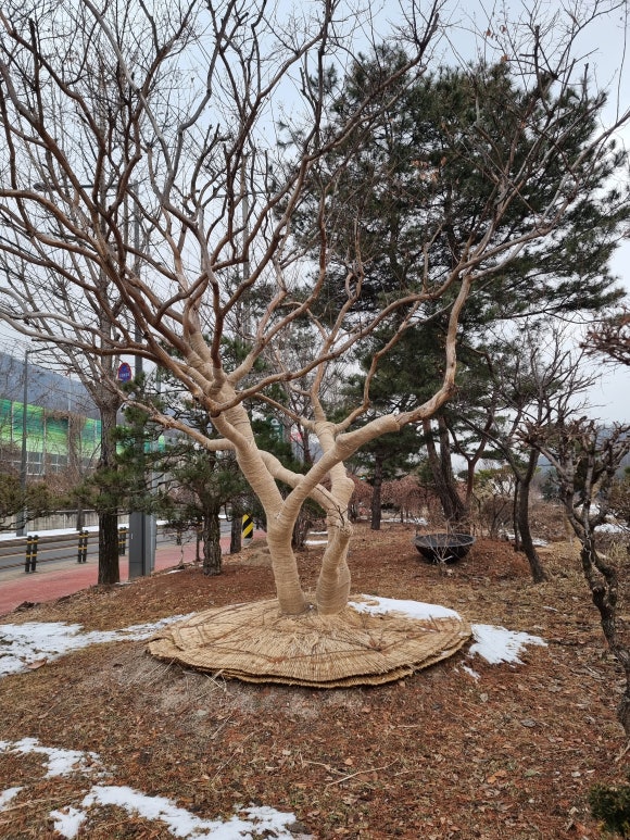 은하조경 이미지