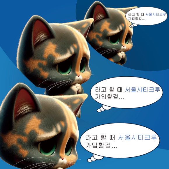 서울시티크루 이미지
