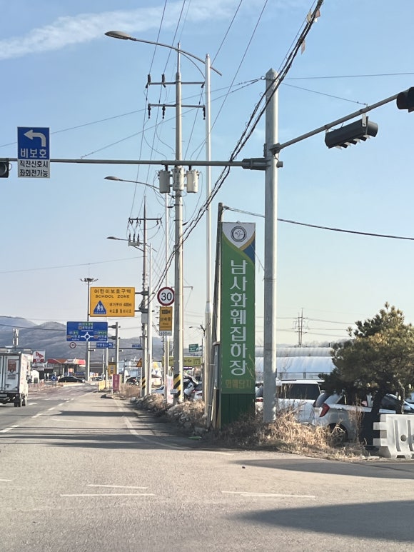 소나무화훼 이미지