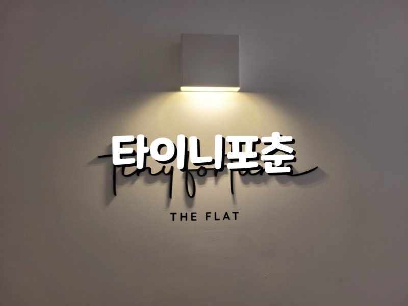 타이니포춘 이미지