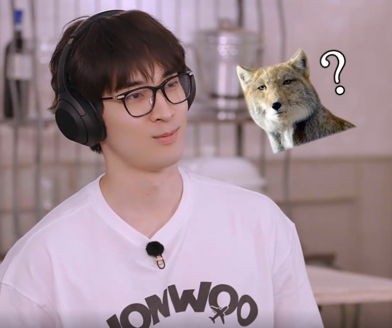 나나투어주 이미지