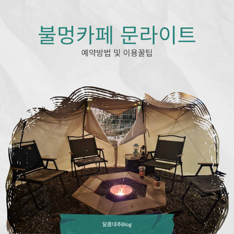 카페 문라이트(cafe moonlight) 이미지