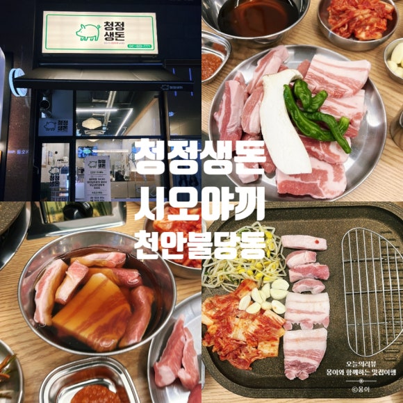 청정생돈 이미지