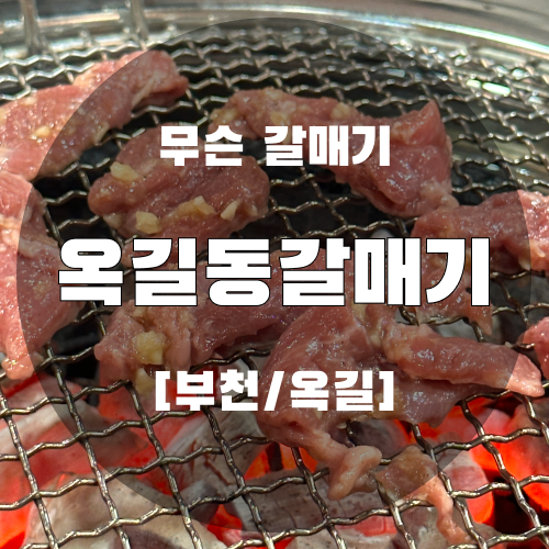 옥길동갈매기 이미지