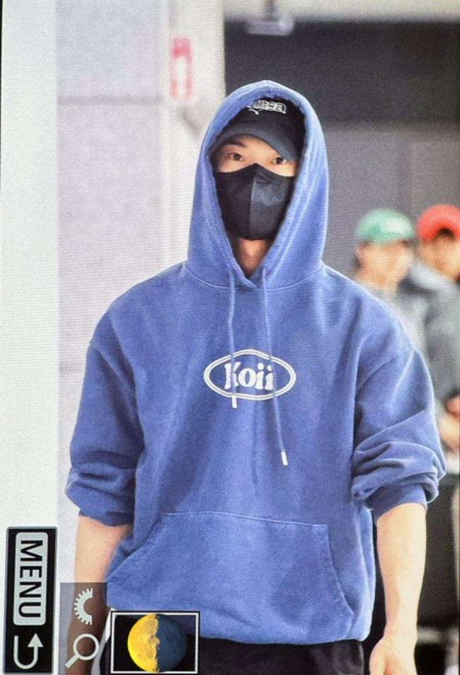 코이(koii) 이미지