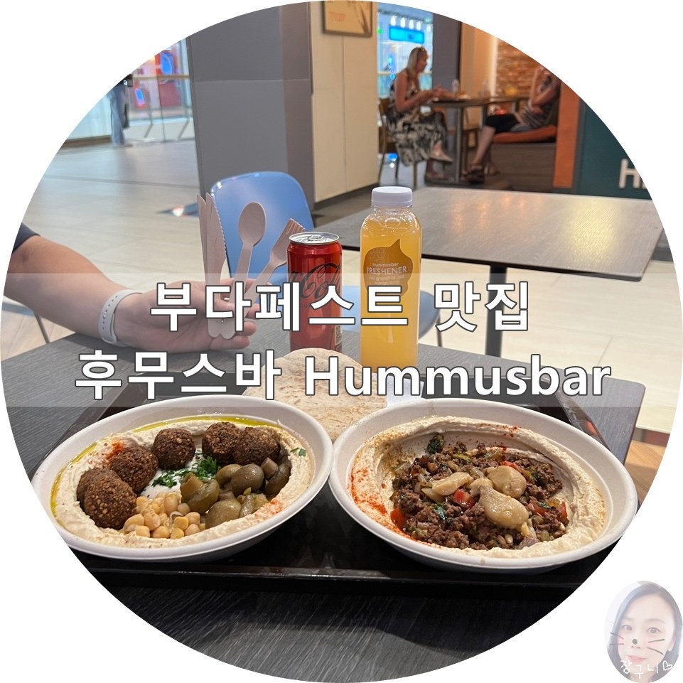 알리몰 이미지