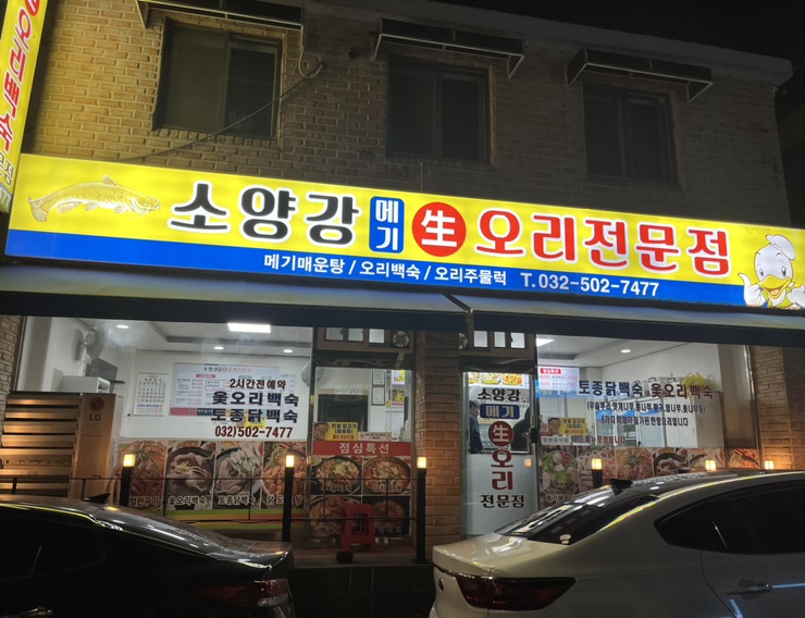 소양강메기생오리 이미지