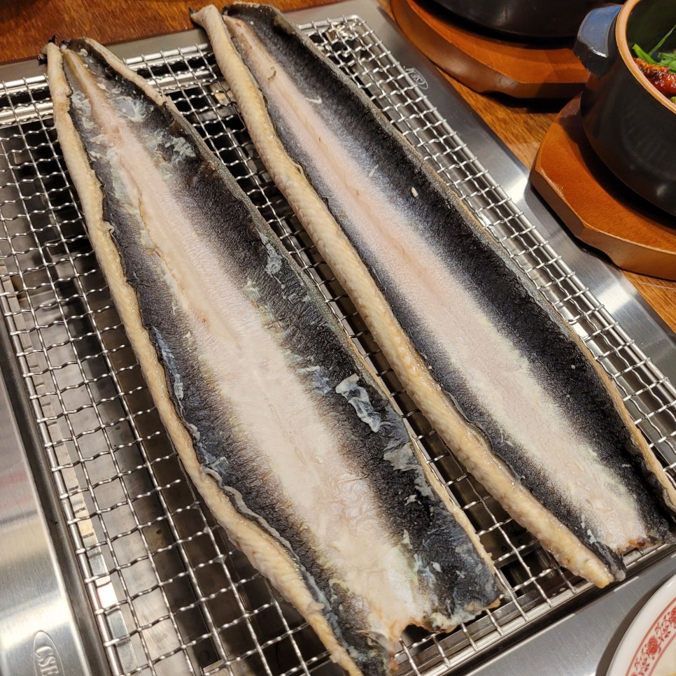베풀장어 이미지