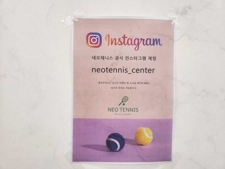 네오테니스 이미지