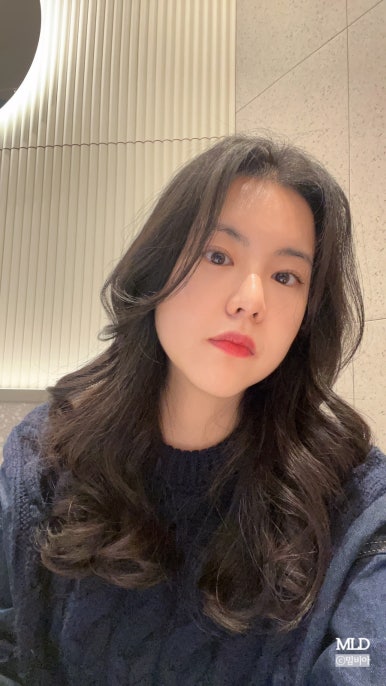 마이즈헤어 이미지