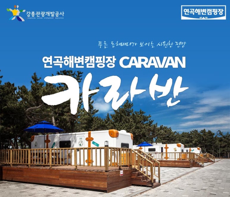 솔향기캠핑장 이미지