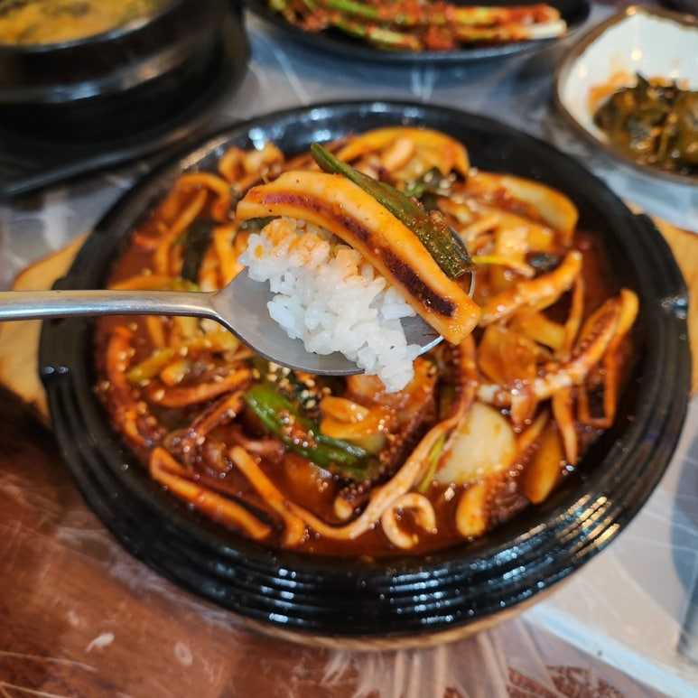 낭만오징어 이미지