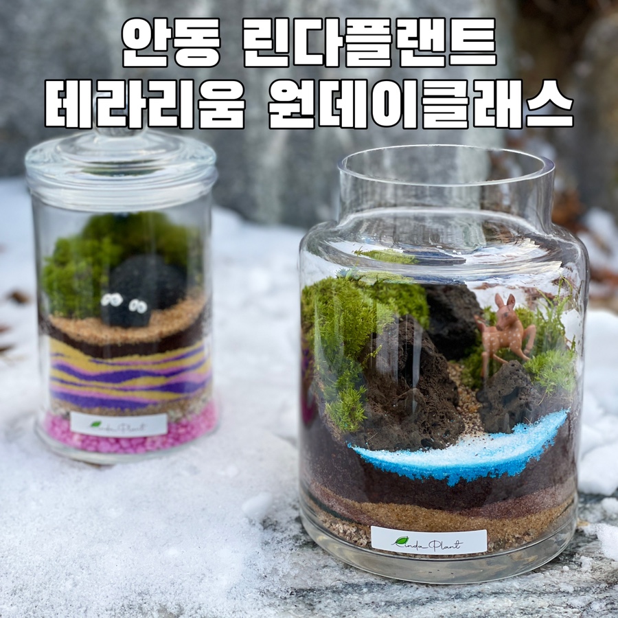 린다플랜트 이미지