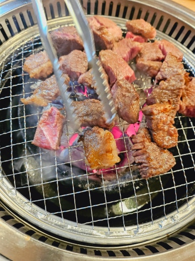 황소야돼지야 이미지