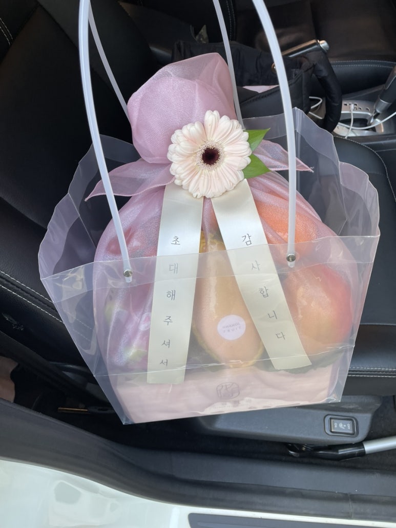 비산청과 이미지