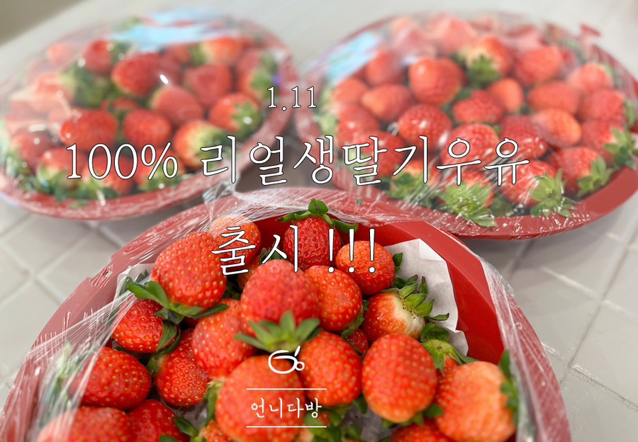 가든다방 이미지