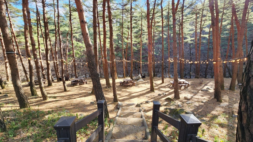 강릉솔향도시락 이미지