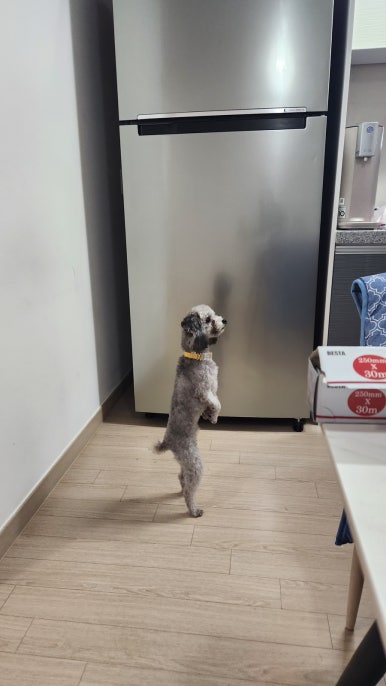 더블스테이또또멍연천 이미지