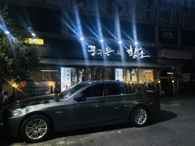 꿈꾸는황소 이미지