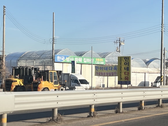 소나무화훼 이미지
