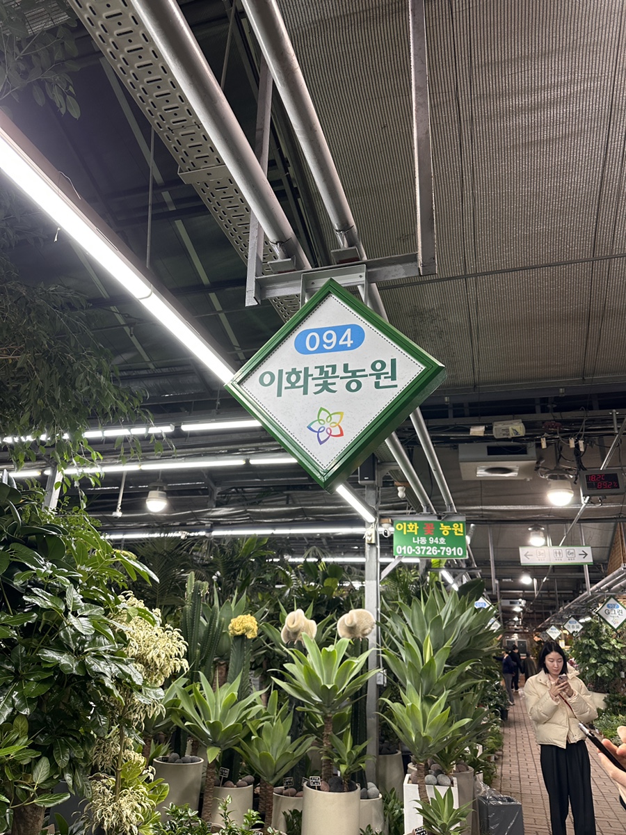 이화화훼 이미지