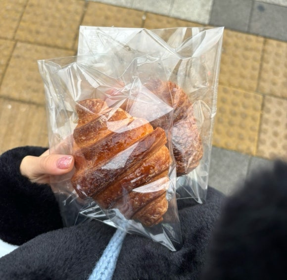 단트(DANT) 이미지