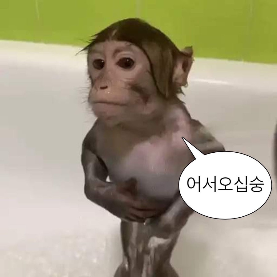 쨈스터 이미지