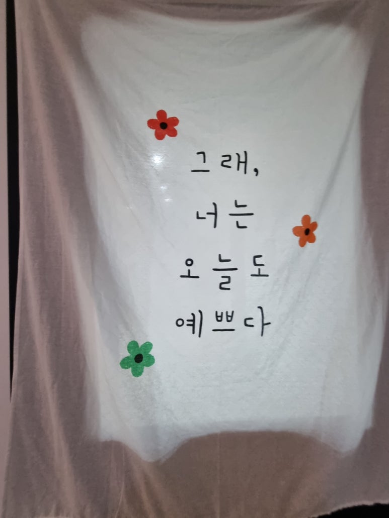 쉘모아 이미지