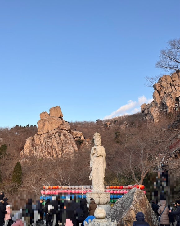 남해동광호선장하우스 이미지