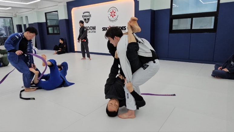 진주킹덤주짓수 이미지