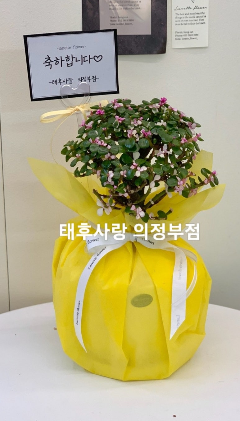태후사랑 병점역점 이미지