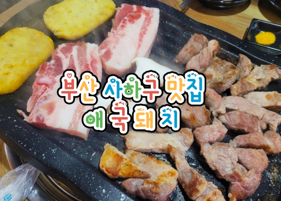 애국돼지 이미지