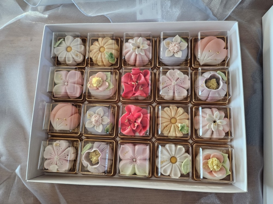 달콩정원 이미지