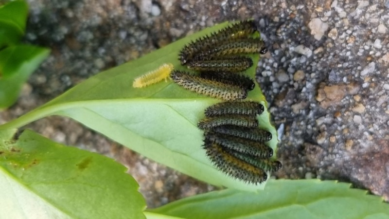 지산아이앤씨주 이미지