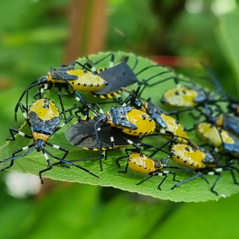 지산아이앤씨주 이미지