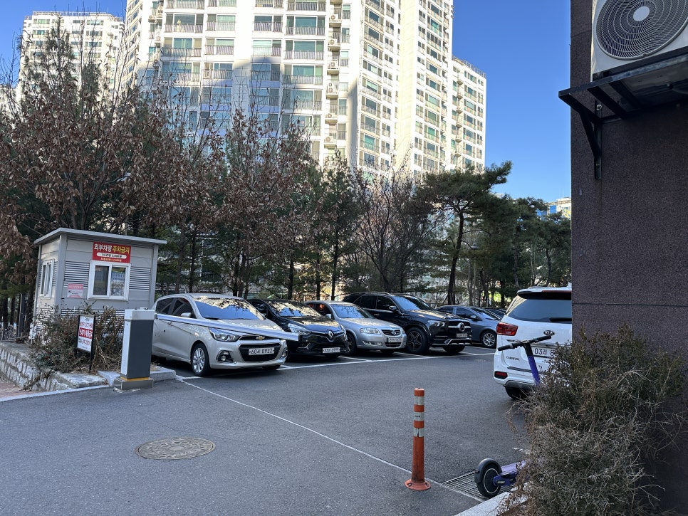 월배과일 이미지