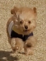 김올가 이미지