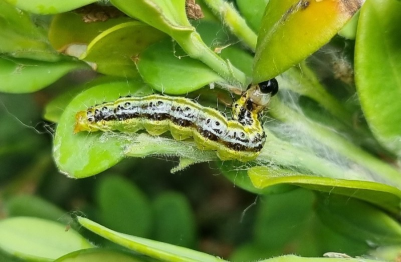 지산아이앤씨주 이미지
