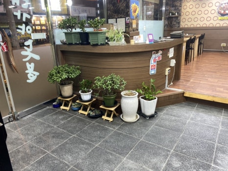 대가야돈불 이미지